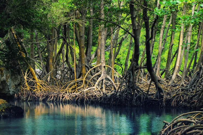 Parc national Los Haitises (3)