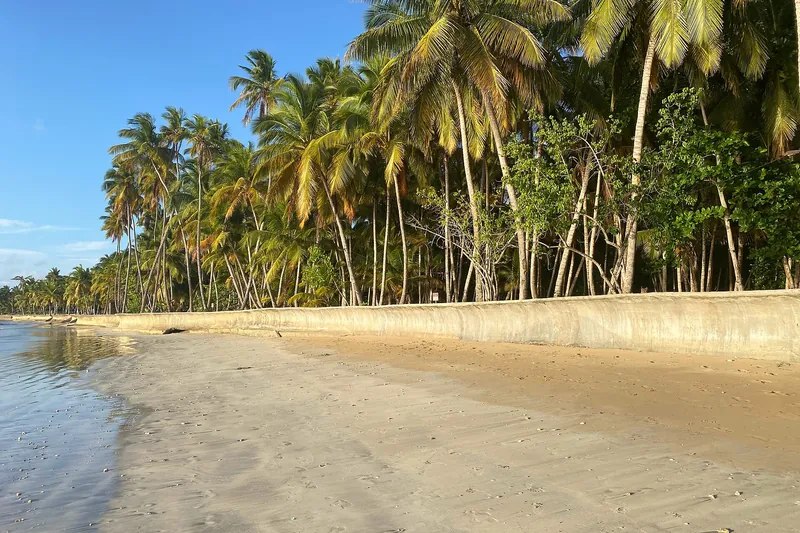 Playa Cosón (2)