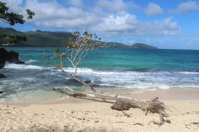 Playa Rincón (2)